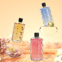 🌿 Diffuseur Automatique d’Huiles