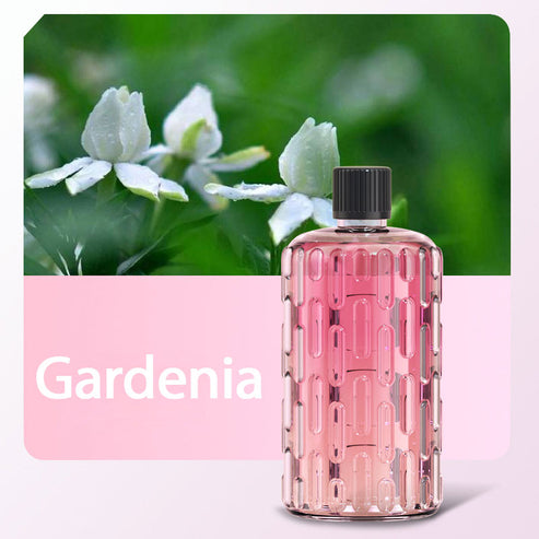 🌿 Diffuseur Automatique d’Huiles